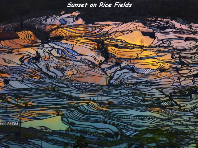 daily picdump 95 pics 10.html - 95 HD Photos | Premium Gallery 2015