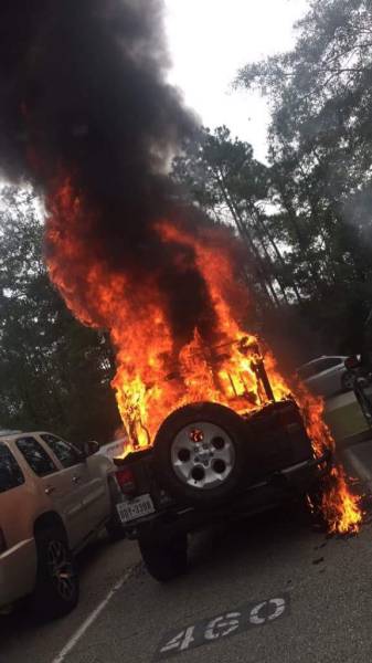 daily picdump 95 pics 10.html - 95 HD Photos | Premium Gallery 2015