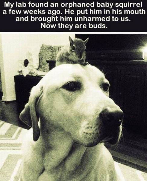 daily picdump 95 pics 10.html - 95 HD Photos | Premium Gallery 2015