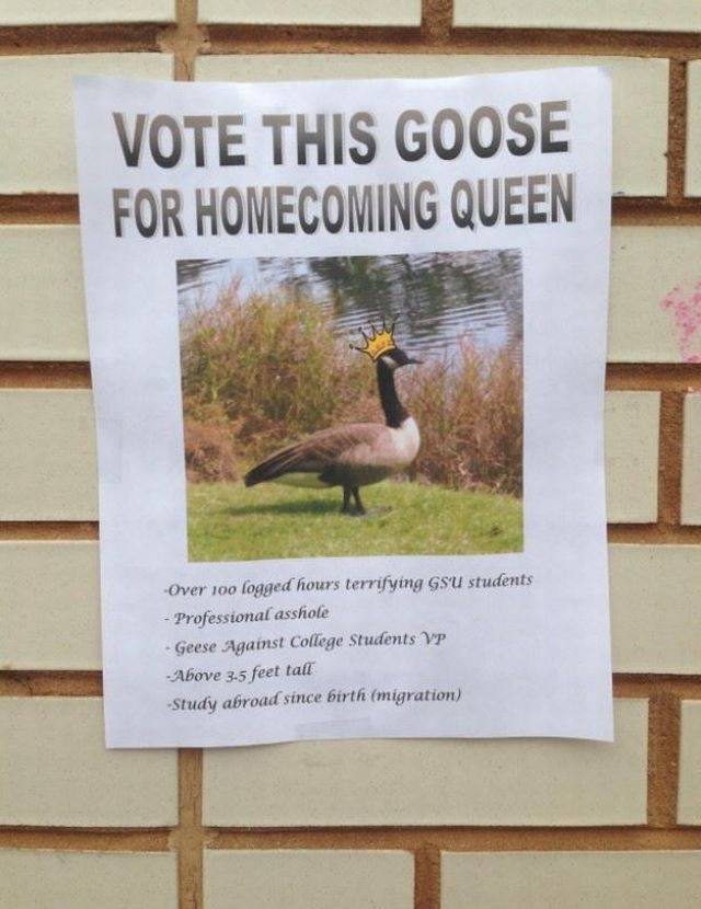 daily picdump 95 pics 10.html - 95 HD Photos | Premium Gallery 2015