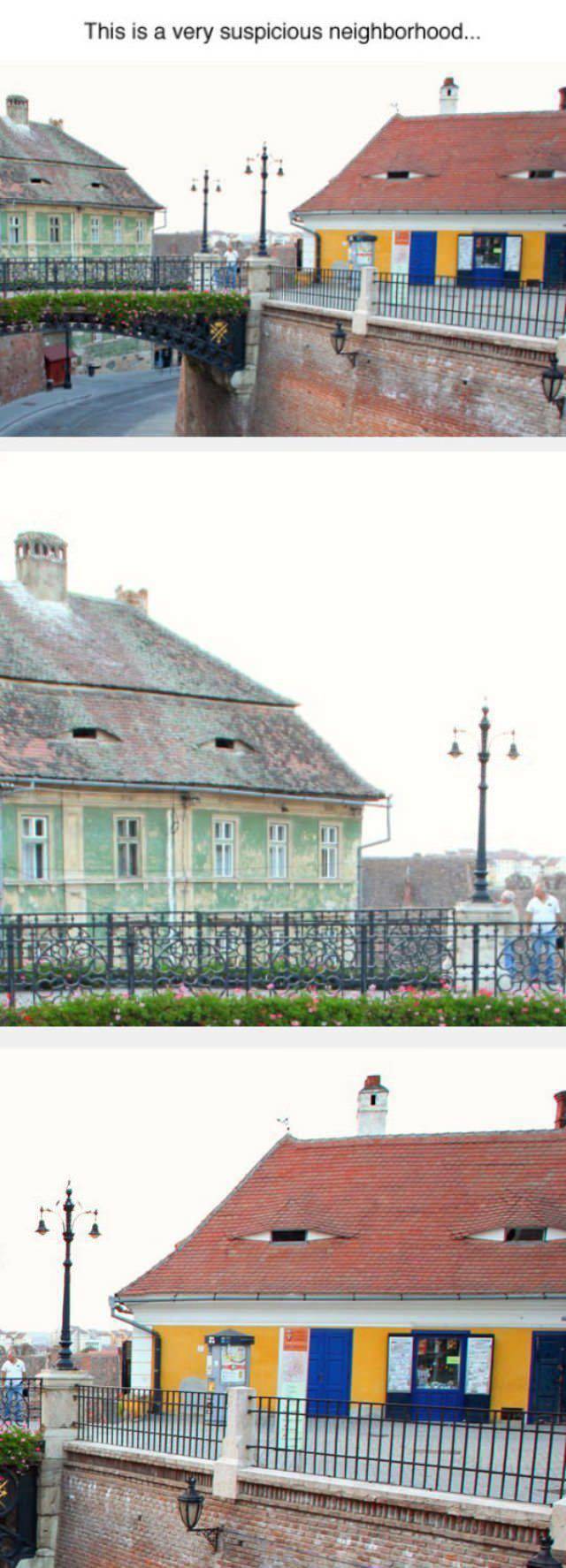 daily picdump 95 pics 10.html - 95 HD Photos | Premium Gallery 2015