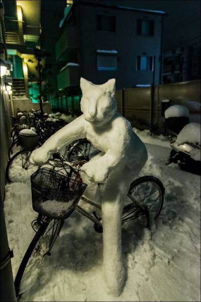 daily picdump 98 pics 8.html - 98 HD Photos | Premium Gallery 2015