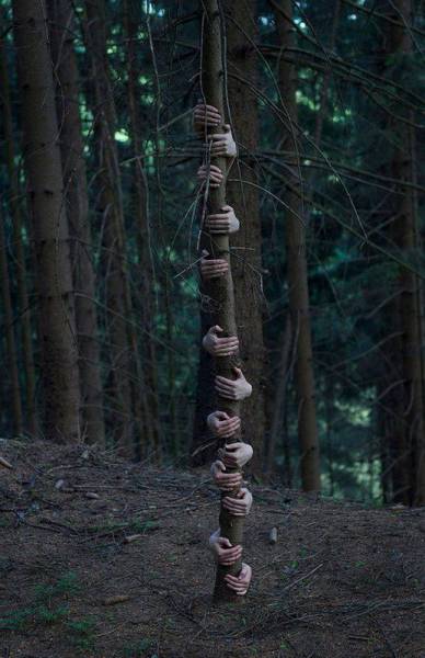 daily picdump 98 pics 8.html - 98 HD Photos | Premium Gallery 2015