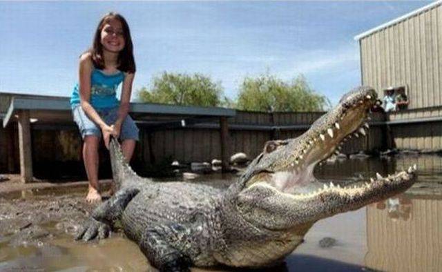 daily picdump 98 pics 8.html - 98 HD Photos | Premium Gallery 2015