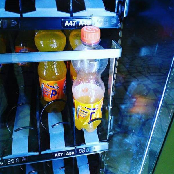 daily picdump 98 pics 8.html - 98 HD Photos | Premium Gallery 2015