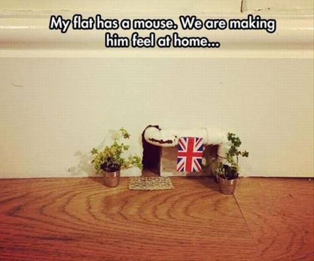 daily picdump 98 pics 8.html - 98 HD Photos | Premium Gallery 2015