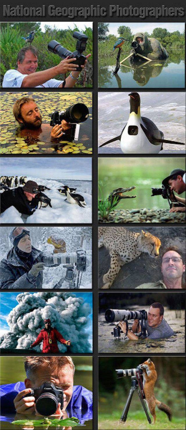 daily picdump 98 pics 8.html - 98 HD Photos | Premium Gallery 2015