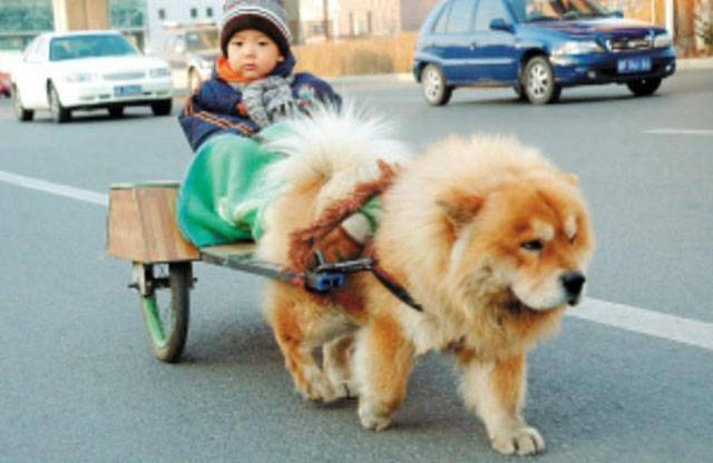 morning picdump 51 pics 25.html - 51 HD Photos | Premium Gallery 2015