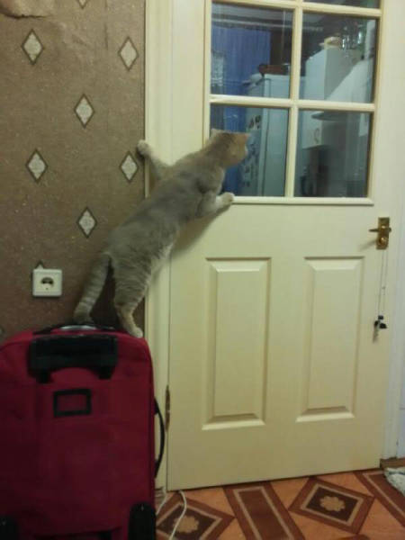 morning picdump 51 pics 25.html - 51 HD Photos | Premium Gallery 2015