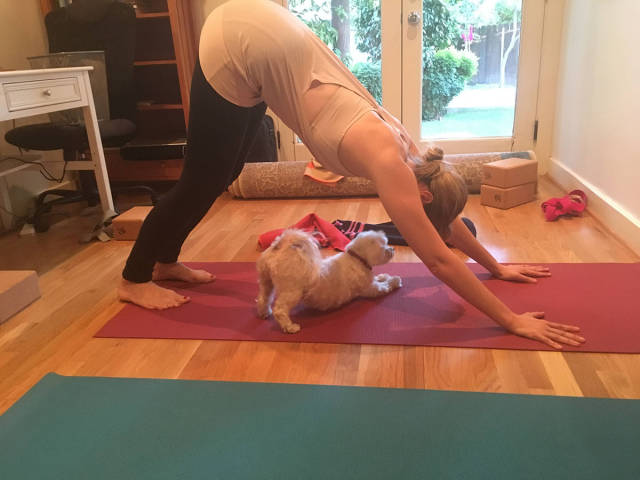 morning picdump 51 pics 25.html - 51 HD Photos | Premium Gallery 2015