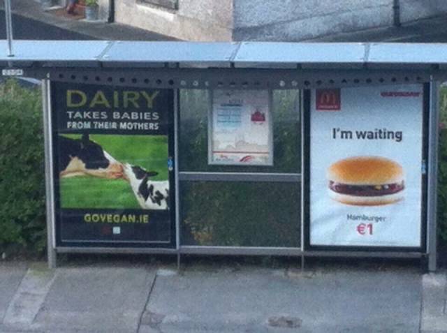 morning picdump 51 pics 25.html - 51 HD Photos | Premium Gallery 2015