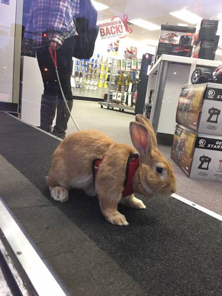 morning picdump 51 pics 25.html - 51 HD Photos | Premium Gallery 2015