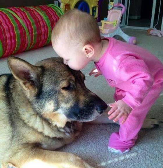 page,4,top 1500 daily pics of the year 2015.html - 1 HD Photos | Premium Gallery 2015