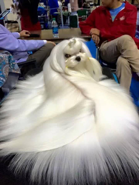 page,58,top 1500 daily pics of the year 2015.html - 1 HD Photos | Premium Gallery 2015