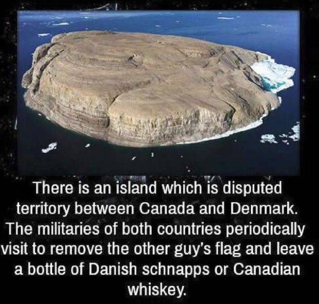 page,23,top 1500 daily pics of the year 2015.html - 1 HD Photos | Premium Gallery 2015