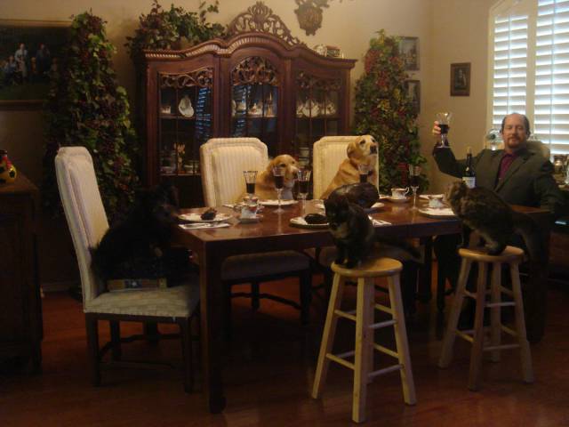 morning picdump 50 pics 17.html - 50 HD Photos | Premium Gallery 2015