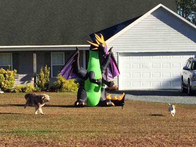 morning picdump 50 pics 17.html - 50 HD Photos | Premium Gallery 2015