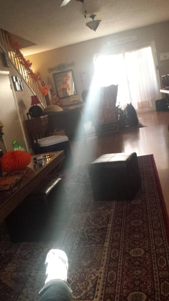 morning picdump 50 pics 17.html - 50 HD Photos | Premium Gallery 2015