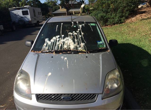 morning picdump 54 pics 21.html - 54 HD Photos | Premium Gallery 2015