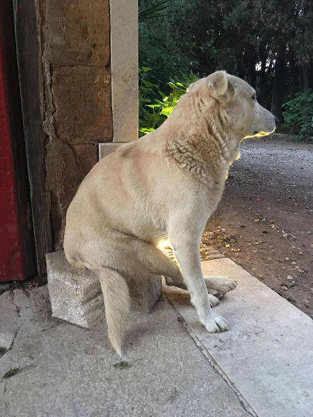 morning picdump 54 pics 21.html - 54 HD Photos | Premium Gallery 2015