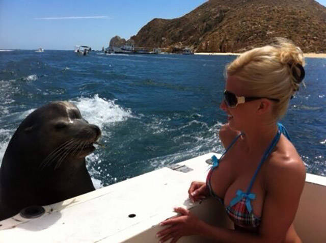 morning picdump 54 pics 21.html - 54 HD Photos | Premium Gallery 2015