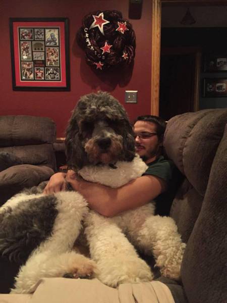 morning picdump 54 pics 21.html - 54 HD Photos | Premium Gallery 2015