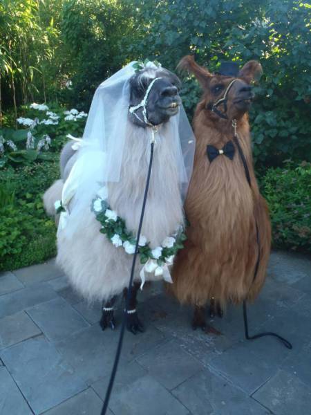 Morning Picdump