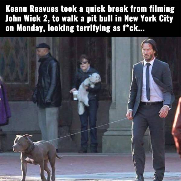 morning picdump 51 pics 3.html - 51 HD Photos | Premium Gallery 2015