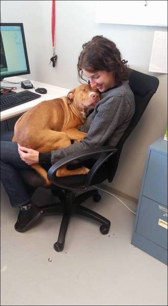 page,43,top 1500 daily pics of the year 2015.html - 1 HD Photos | Premium Gallery 2015