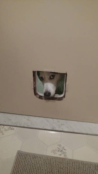 morning picdump 53 pics 13.html - 53 HD Photos | Premium Gallery 2015