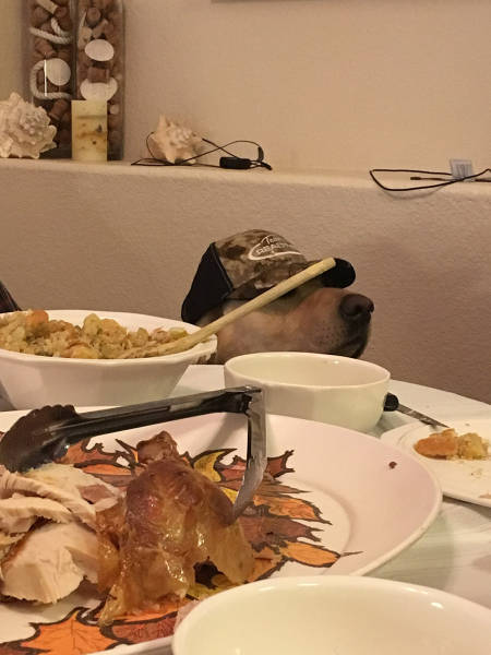 morning picdump 53 pics 13.html - 53 HD Photos | Premium Gallery 2015