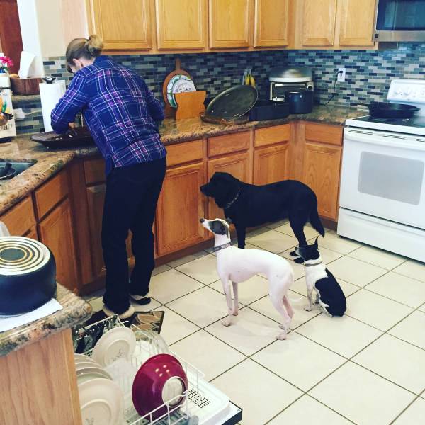 morning picdump 53 pics 13.html - 53 HD Photos | Premium Gallery 2015