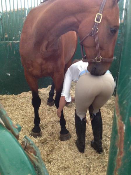 page,23,top 1500 daily pics of the year 2015.html - 1 HD Photos | Premium Gallery 2015