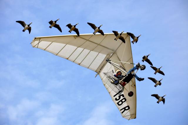 page,58,top 1500 daily pics of the year 2015.html - 1 HD Photos | Premium Gallery 2015