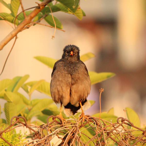 morning picdump 50 pics 15.html - 50 HD Photos | Premium Gallery 2015