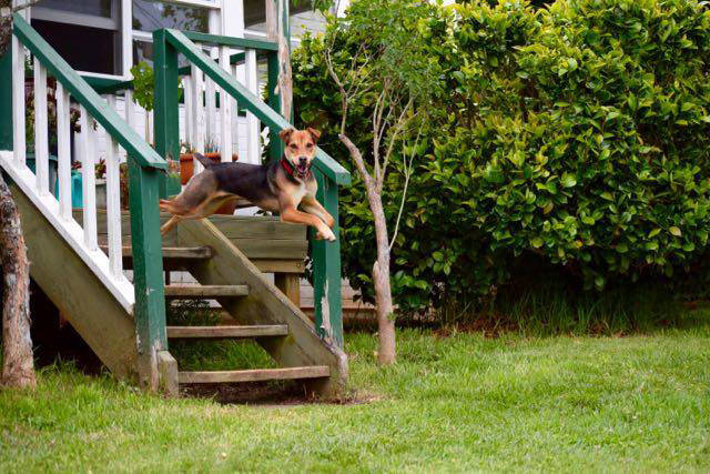 morning picdump 50 pics 15.html - 50 HD Photos | Premium Gallery 2015