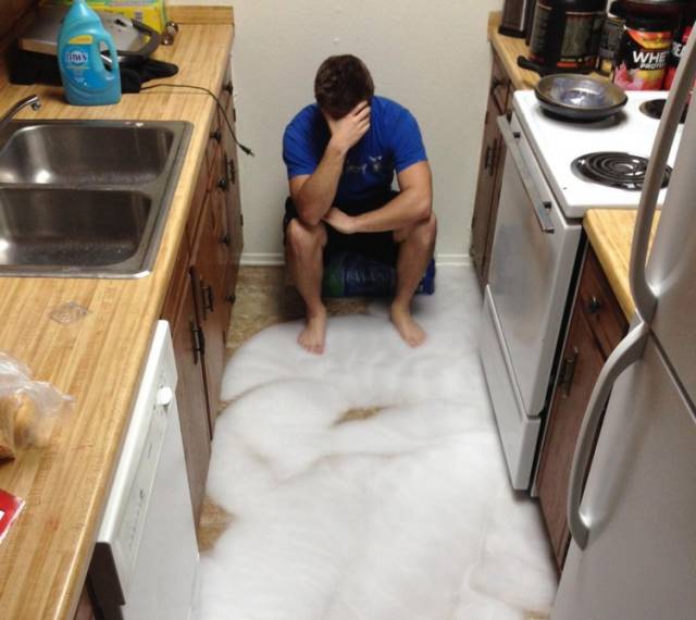 A Few Roommates from Hell