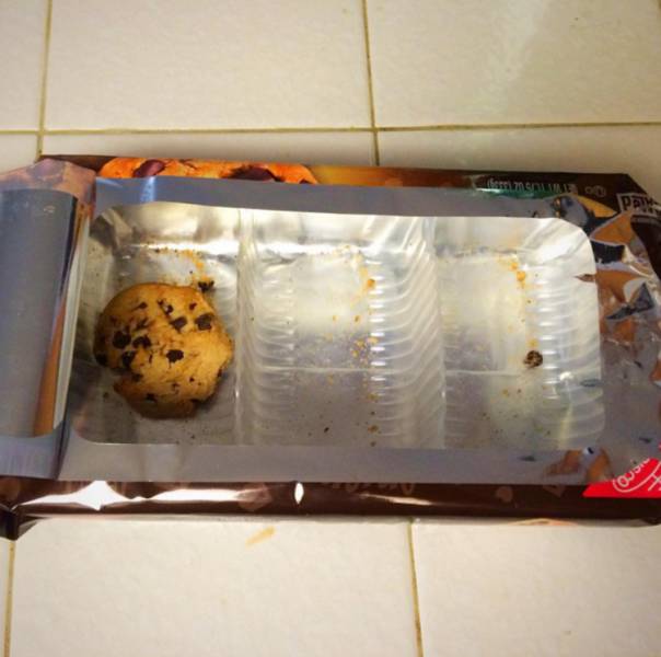 A Few Roommates from Hell