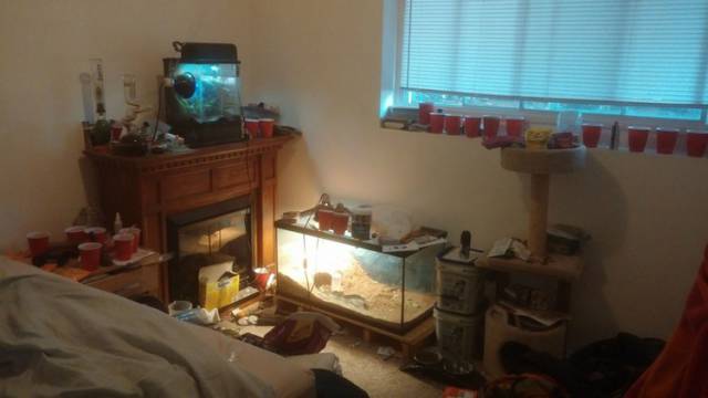 A Few Roommates from Hell