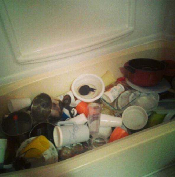 A Few Roommates from Hell