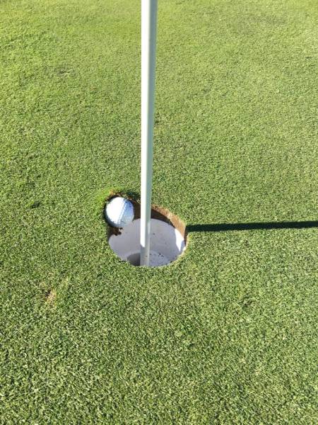 morning picdump 55 pics 12.html - 55 HD Photos | Premium Gallery 2015