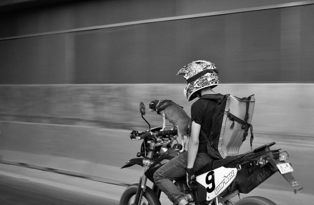 morning picdump 54 pics 16.html - 54 HD Photos | Premium Gallery 2015