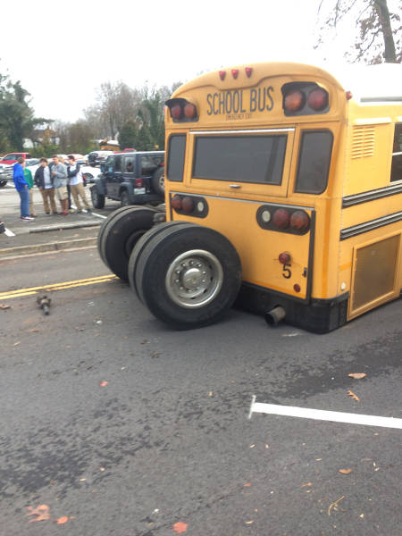 morning picdump 54 pics 16.html - 54 HD Photos | Premium Gallery 2015