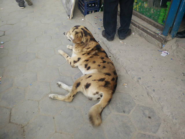 morning picdump 54 pics 16.html - 54 HD Photos | Premium Gallery 2015