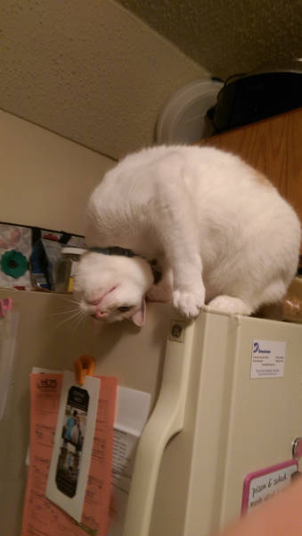 morning picdump 54 pics 16.html - 54 HD Photos | Premium Gallery 2015