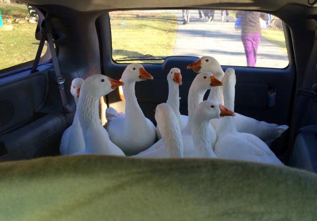 morning picdump 54 pics 16.html - 54 HD Photos | Premium Gallery 2015