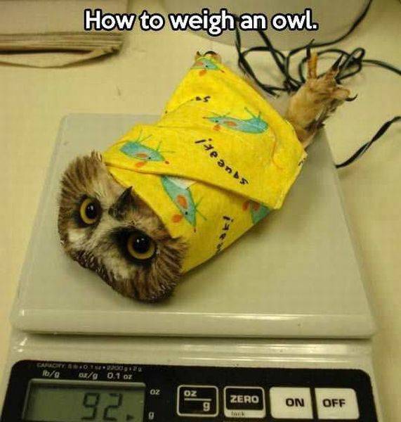 page,32,top 1500 daily pics of the year 2015.html - 1 HD Photos | Premium Gallery 2015