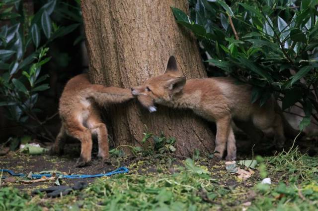 page,12,top 1500 daily pics of the year 2015.html - 1 HD Photos | Premium Gallery 2015