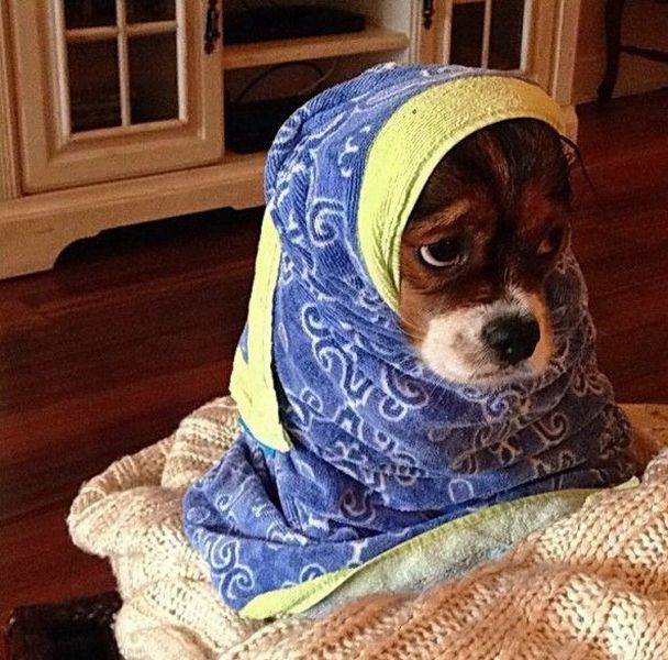 page,23,top 1500 daily pics of the year 2015.html - 1 HD Photos | Premium Gallery 2015