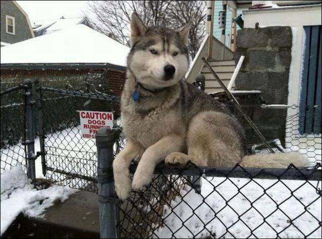 page,43,top 1500 daily pics of the year 2015.html - 1 HD Photos | Premium Gallery 2015